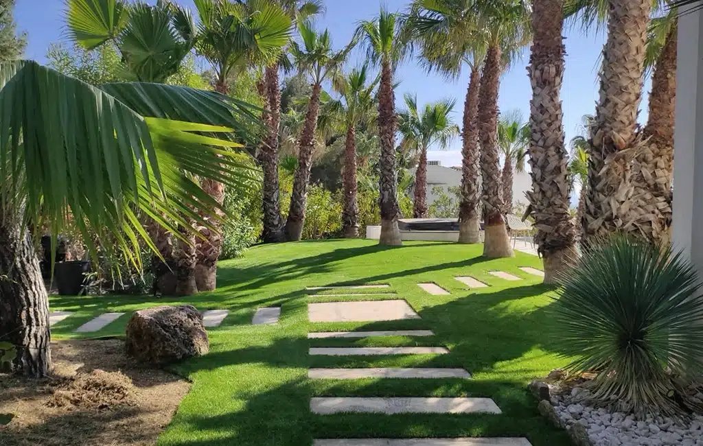 Jardin avec palmiers et gazon synthétique à Marseille dans les Bouches-du-Rhône (13)