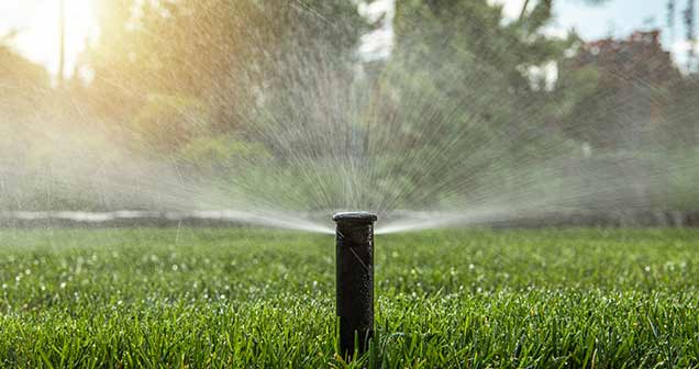 Avantages du gazon synthétique dans le détail : conseils aux acheteurs 2 Arrosage automatique sur une pelouse naturelle