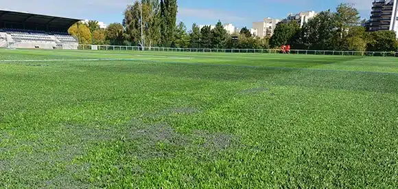 Le gazon synthétique pour le football 2 Gazon artificiel sportif avec remplissage