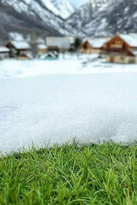 Comment le gazon synthétique résiste-t-il à la neige et au froid en hiver ? 1 Pelouse synthétique Azurio sous la neige