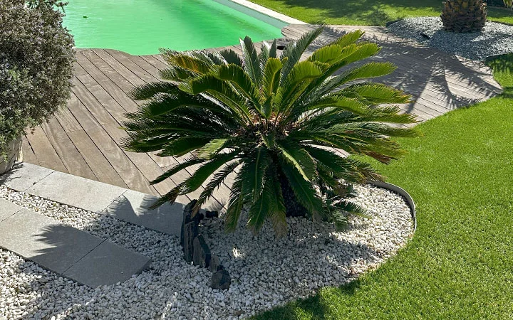 Jardin avec bordures pour pelouse artificielle autour d'un palmier