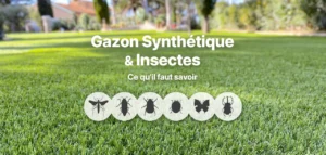 Illustration : Gazon synthétique et insectes : Ce qu’il faut savoir